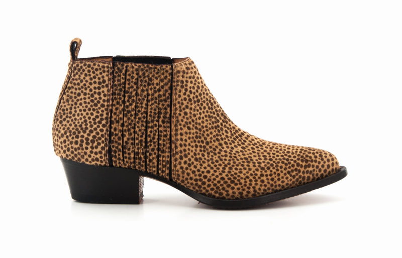 B7242 CAVKS LEOPARD